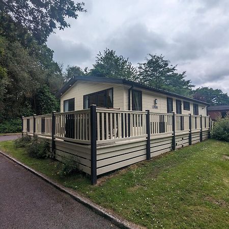 Luxury Stunning Sensation Lodge On 5 Star Shorefield Country Park New Forest Entertainment And Leisure Passes Included Milford on Sea Esterno foto